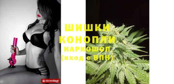 ПСИЛОЦИБИНОВЫЕ ГРИБЫ Карталы