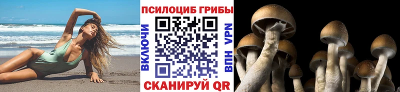 Псилоцибиновые грибы Psilocybe  Кораблино 